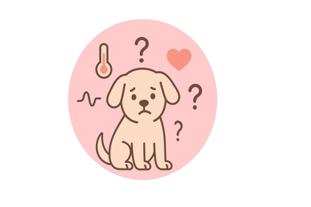 Illustration of a dog looking at scales with question marks