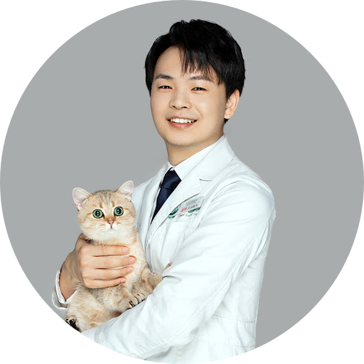 陳建宇 肖像