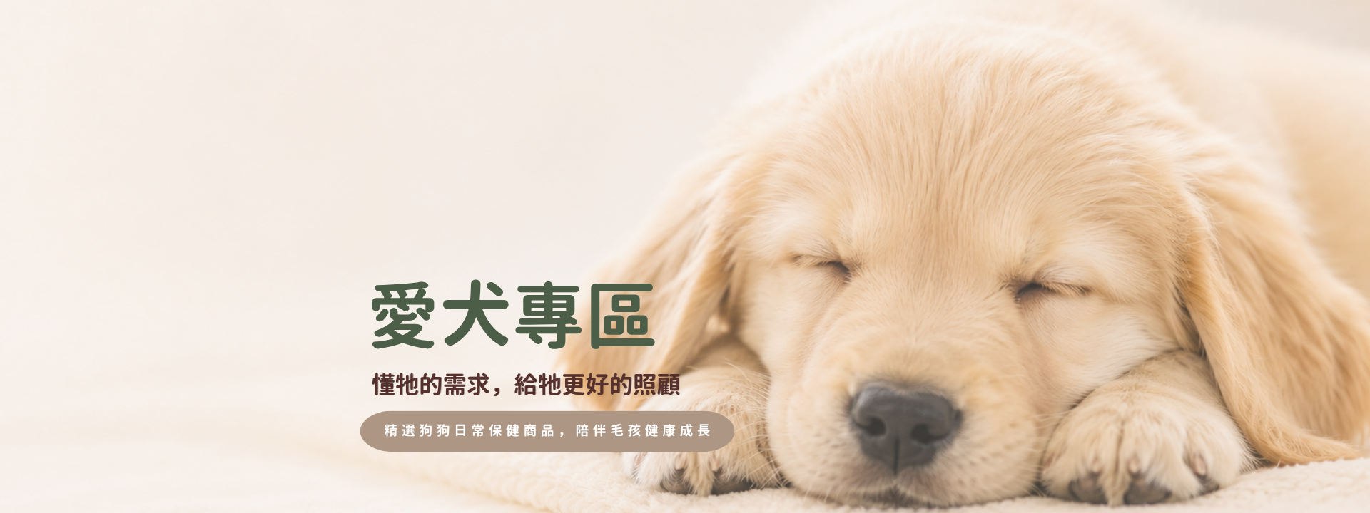 愛犬專區
